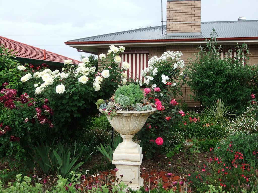 Admurraya House Bed & Breakfast Rutherglen Zewnętrze zdjęcie